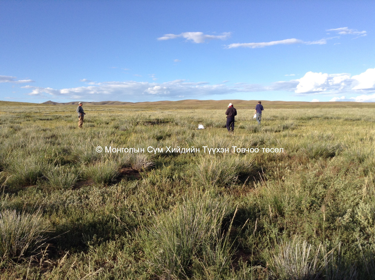 Surveyors on the site